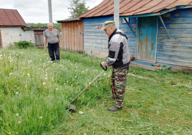 Обкос приусадебной территории.