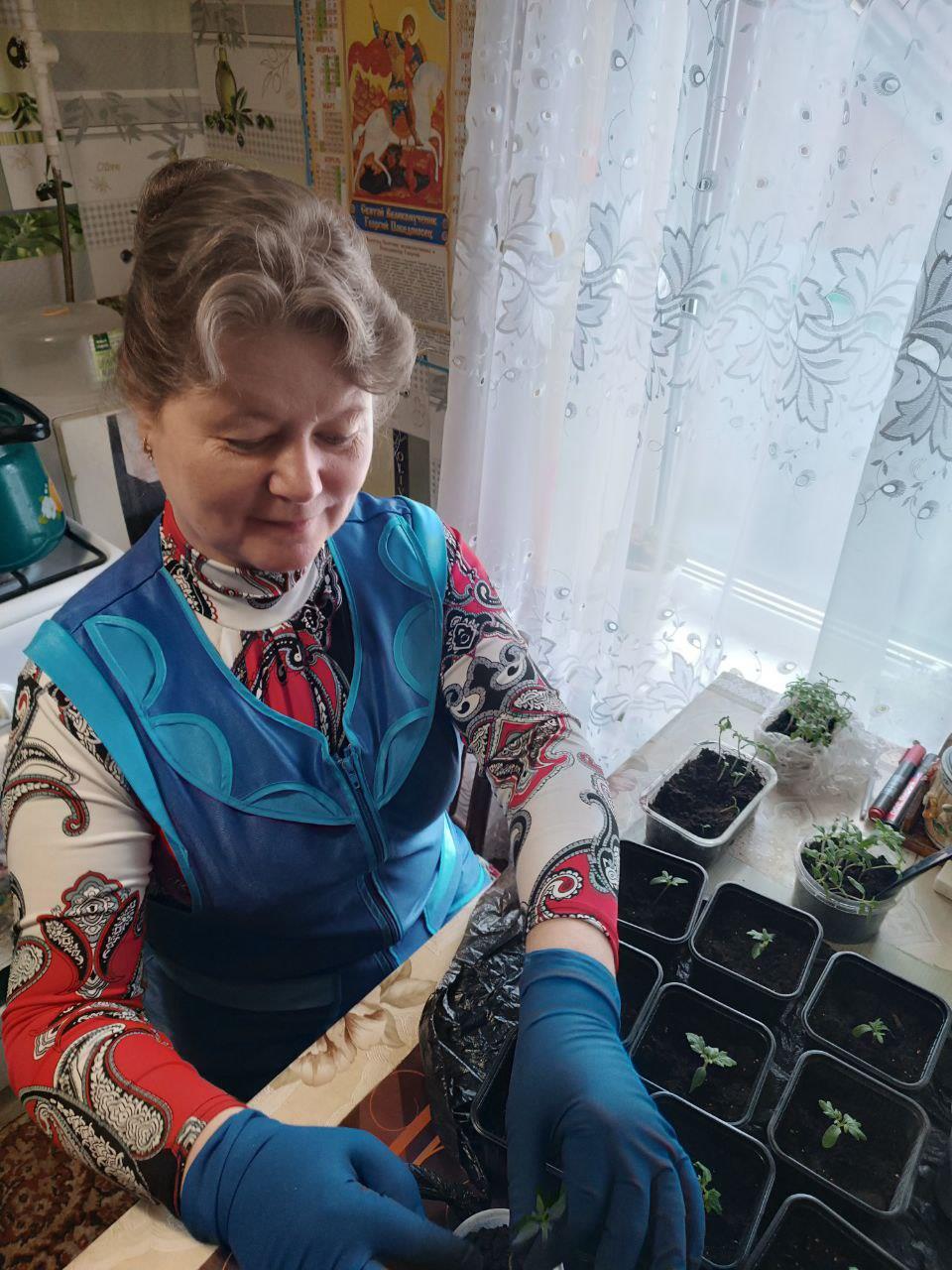 Пикировка томатов для получателей социальных услуг