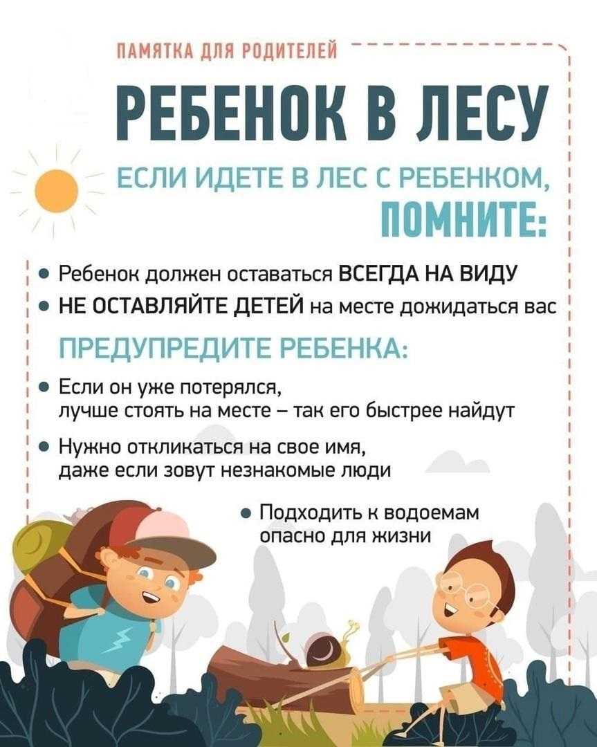 Безопасный поход в лес с ребенком