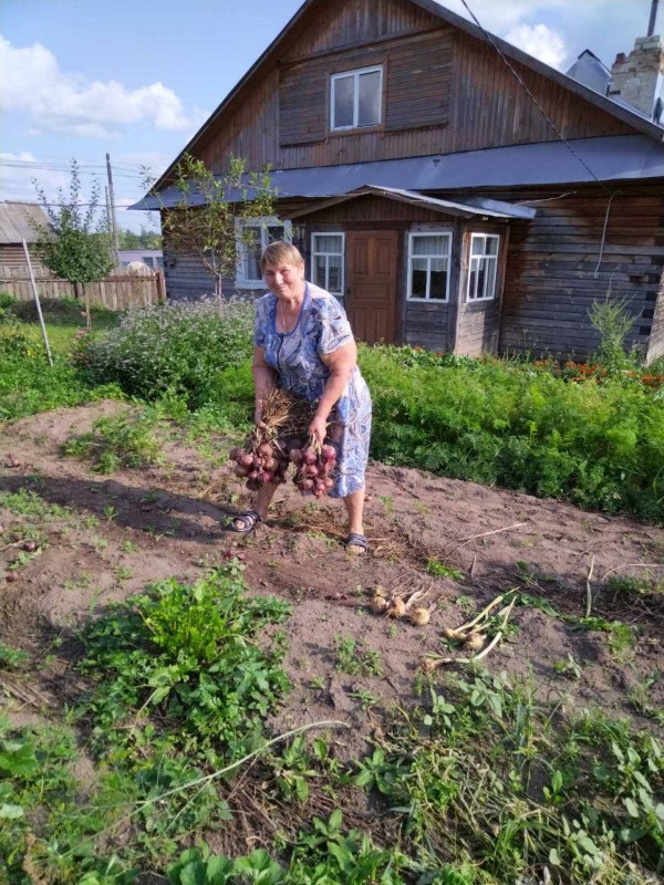 Деятельность социальных работников