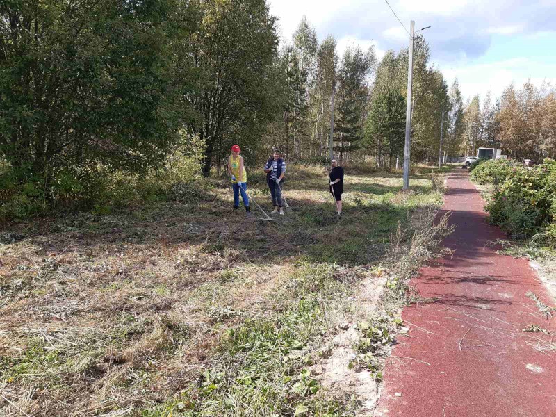 Участие в субботнике