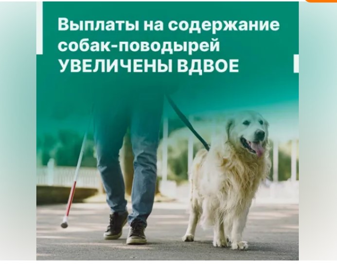 Выплаты на содержание собак-поводырей увеличены вдвое