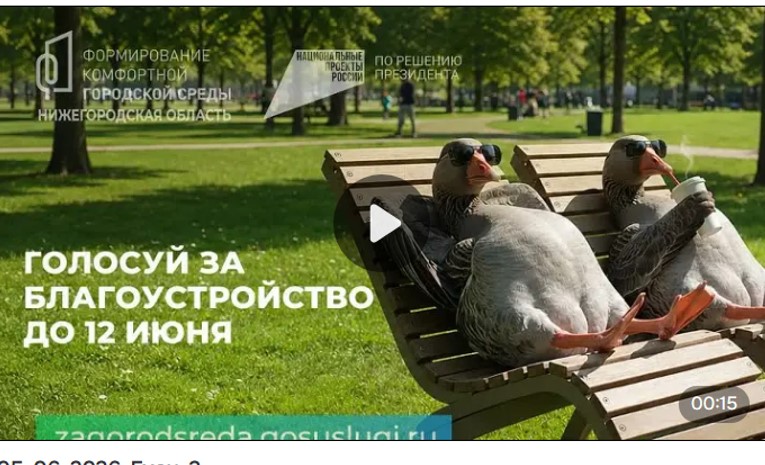 Даже гуси прилетели на каникулы в новый парк! Сидят на лавочках, обсуждают благоустройство…
