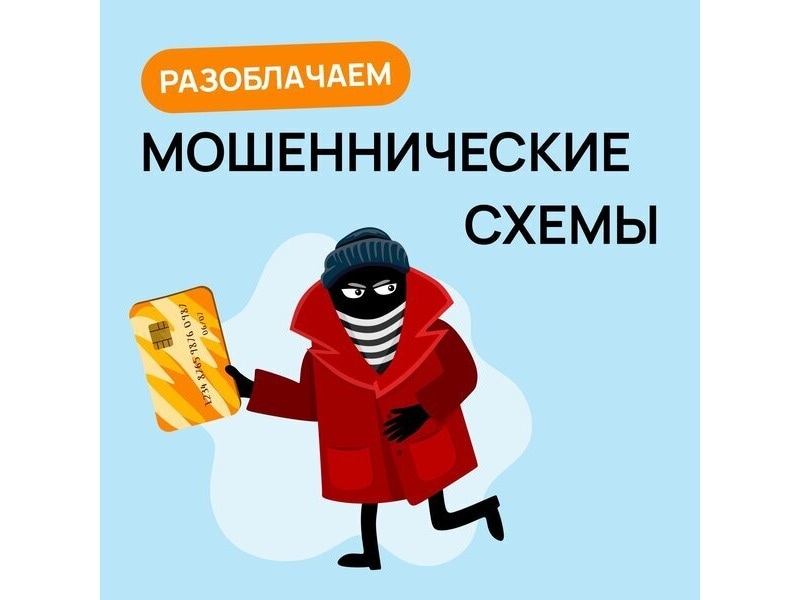 Профилактика мошенничества