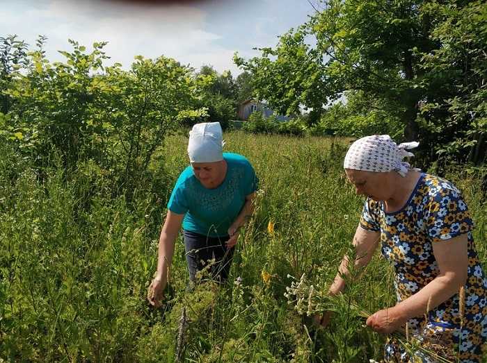 Праздник Ивана Купала