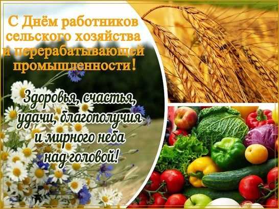 День работника сельского хозяйства и перерабатывающей промышленности