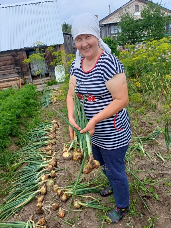 Хлопоты социальных работников